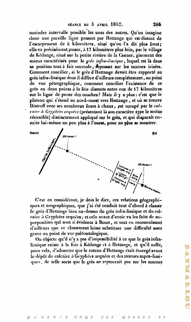 BULLETIN DE LA SOCIETE GEOLOGIQUE DE FRANCE 1852_000338.jpg